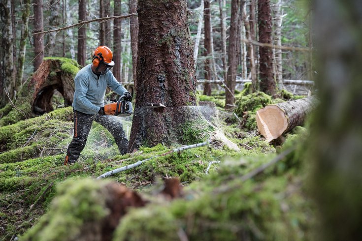 462 1